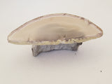 Petrified Wood & Agate Table 1:12